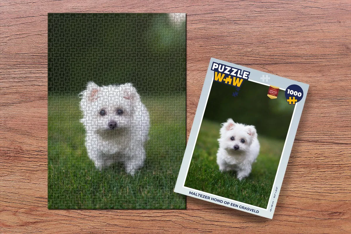 PuzzleWow Maltezer Hond Legpuzzel 1000 Stuks - Multicolor