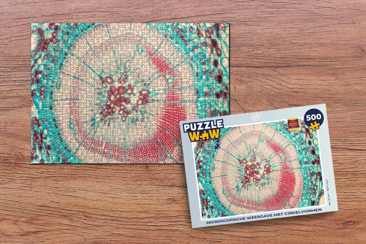PuzzleWow Cirkel Legpuzzel 500 Stuks - Multicolor