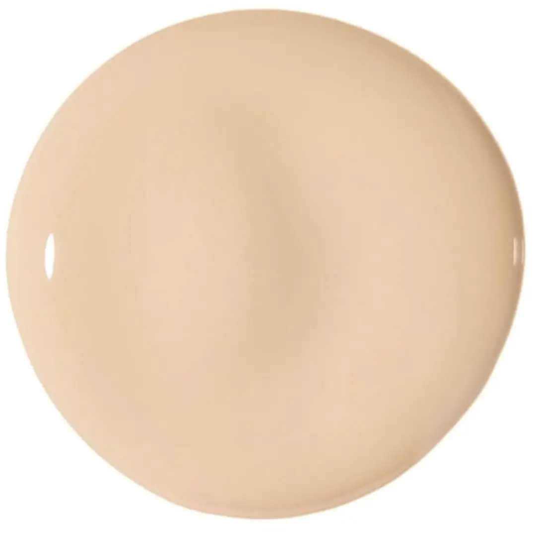 L'Oréal Paris Perfect Match The One Concealer 2N Vanilla - 6.8ml