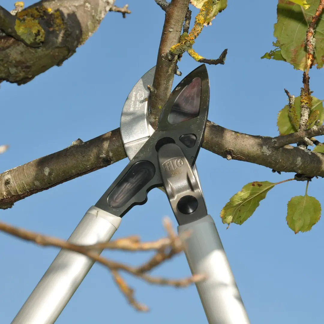 Felco 231 Aambeeld Takkenschaar - Ø40mm - afbeelding 2 van 6