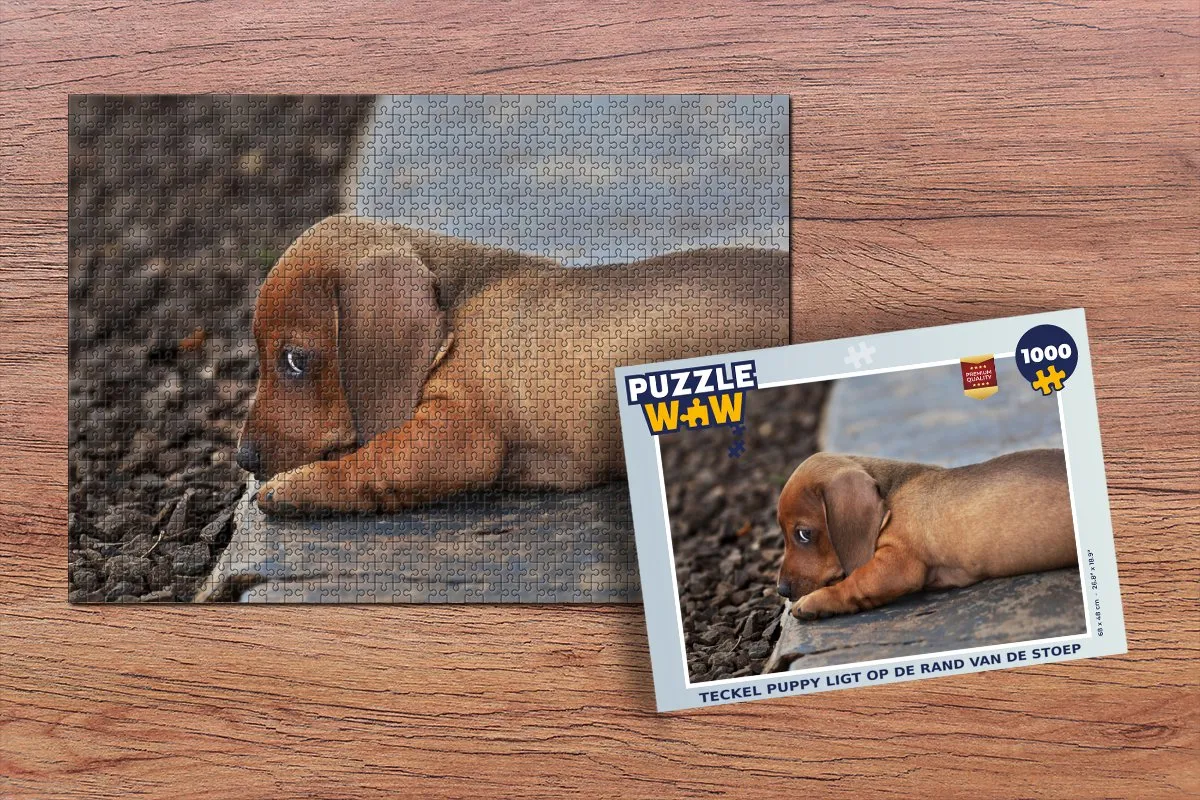 PuzzleWow Teckel Puppy Legpuzzel 1000 Stuks - Multicolor