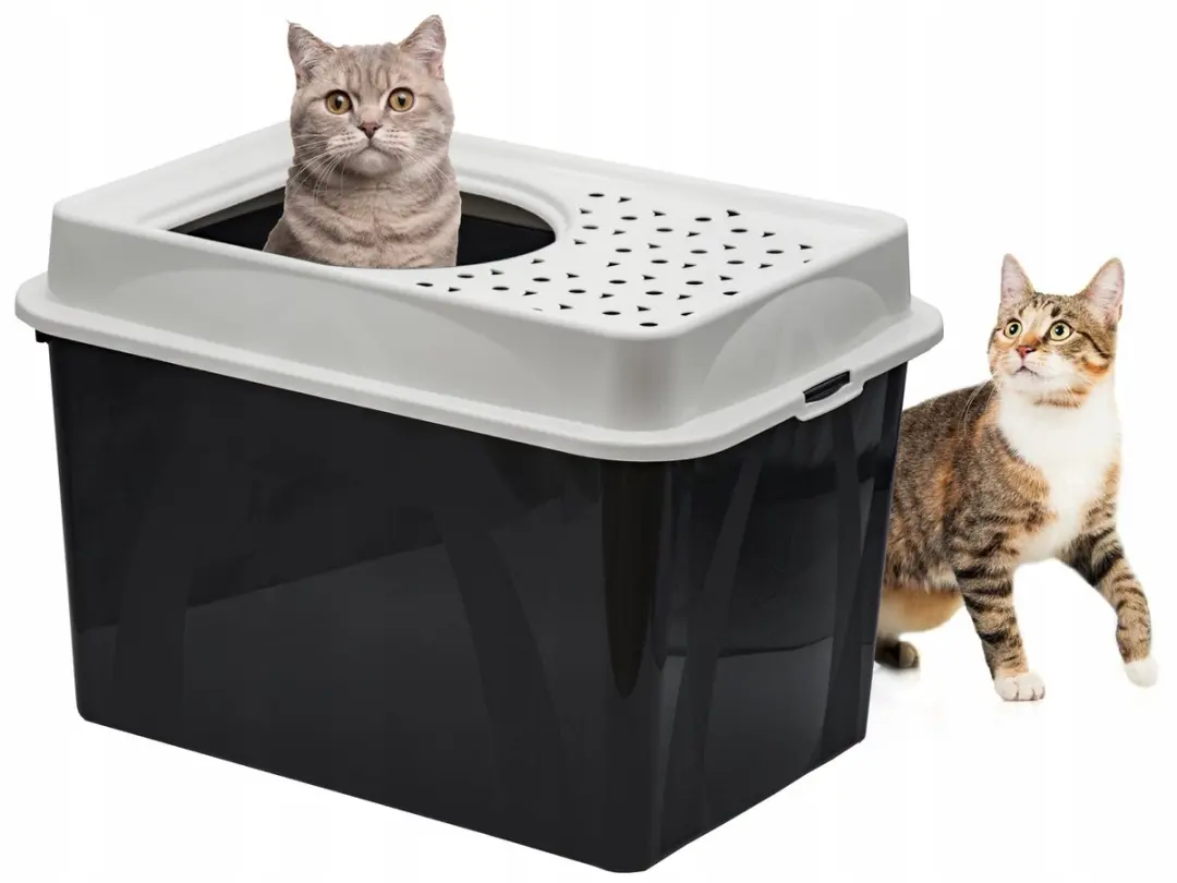 Rotho Berty Gesloten Kattenbak met Top-Entry