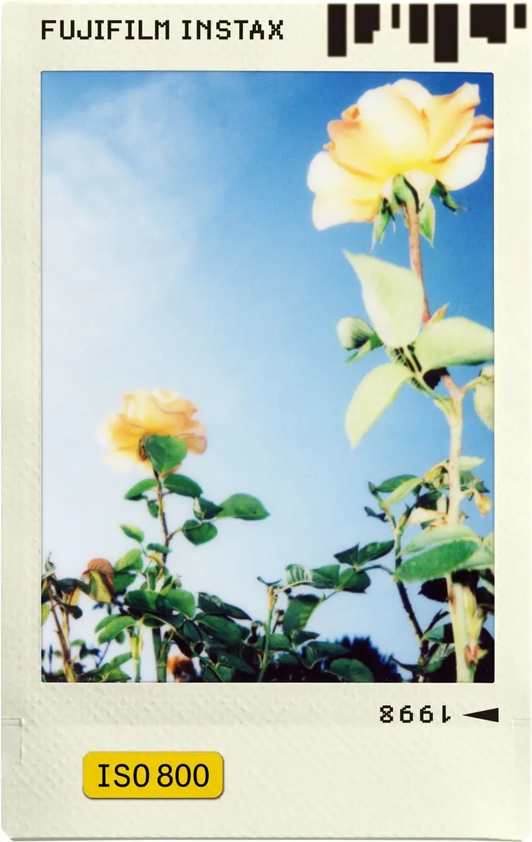 FUJIFILM instax Mini Film XG00955 - 10 Stuks - Wit - afbeelding 4 van 5