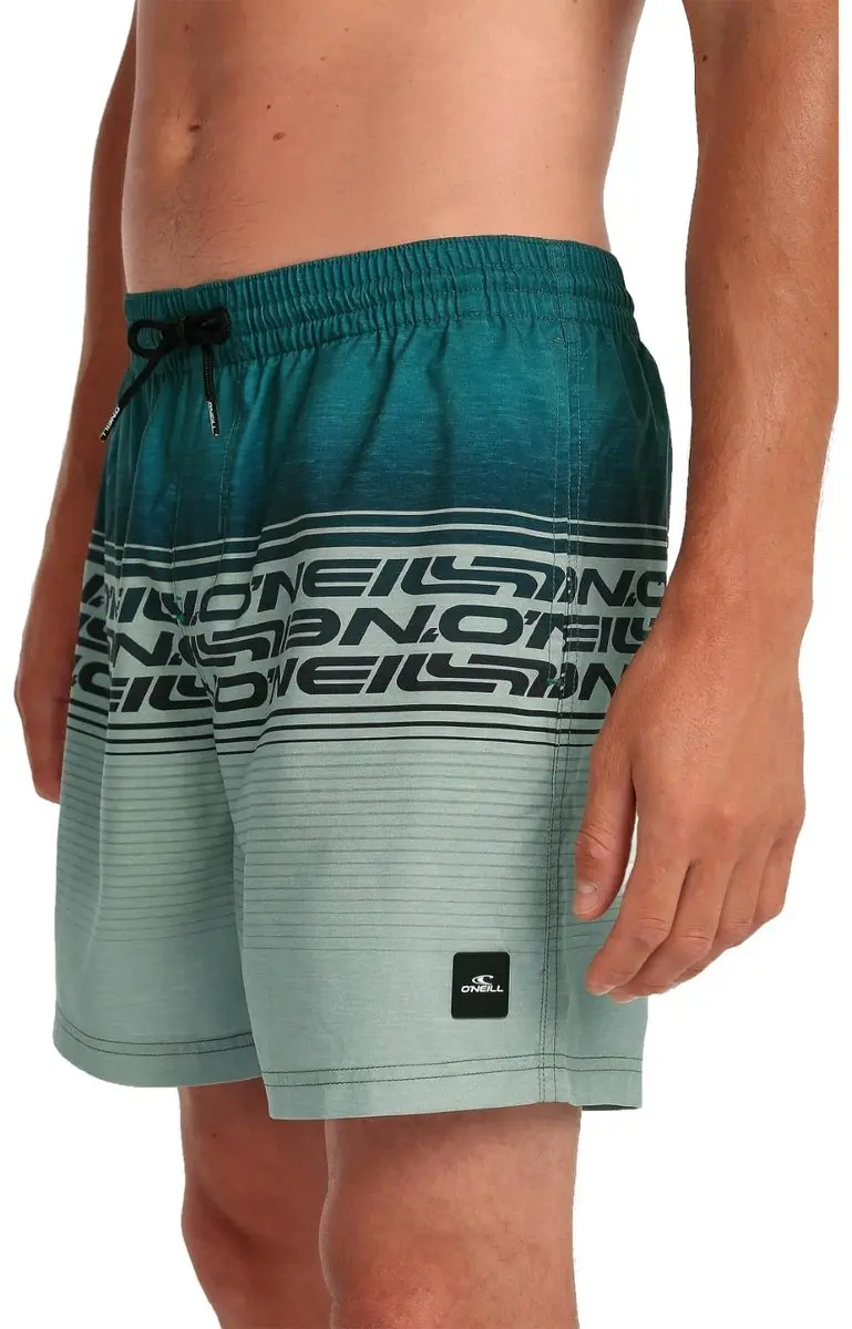 O'Neill Logo Stripe 16''