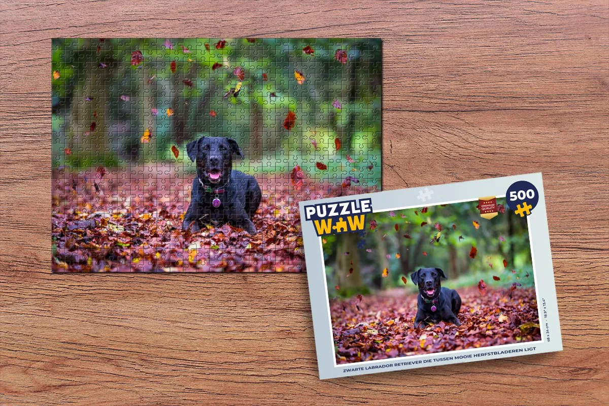 PuzzleWow Labrador Retriever Herfstbladeren Legpuzzel 500 Stuks