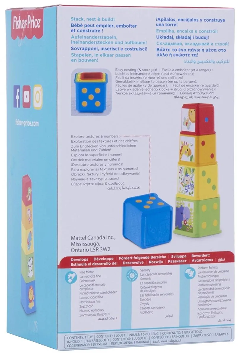 Fisher-Price Stapel en Leer Blokken L4PC-00067418 - 5 Stuks - Meerkleurig