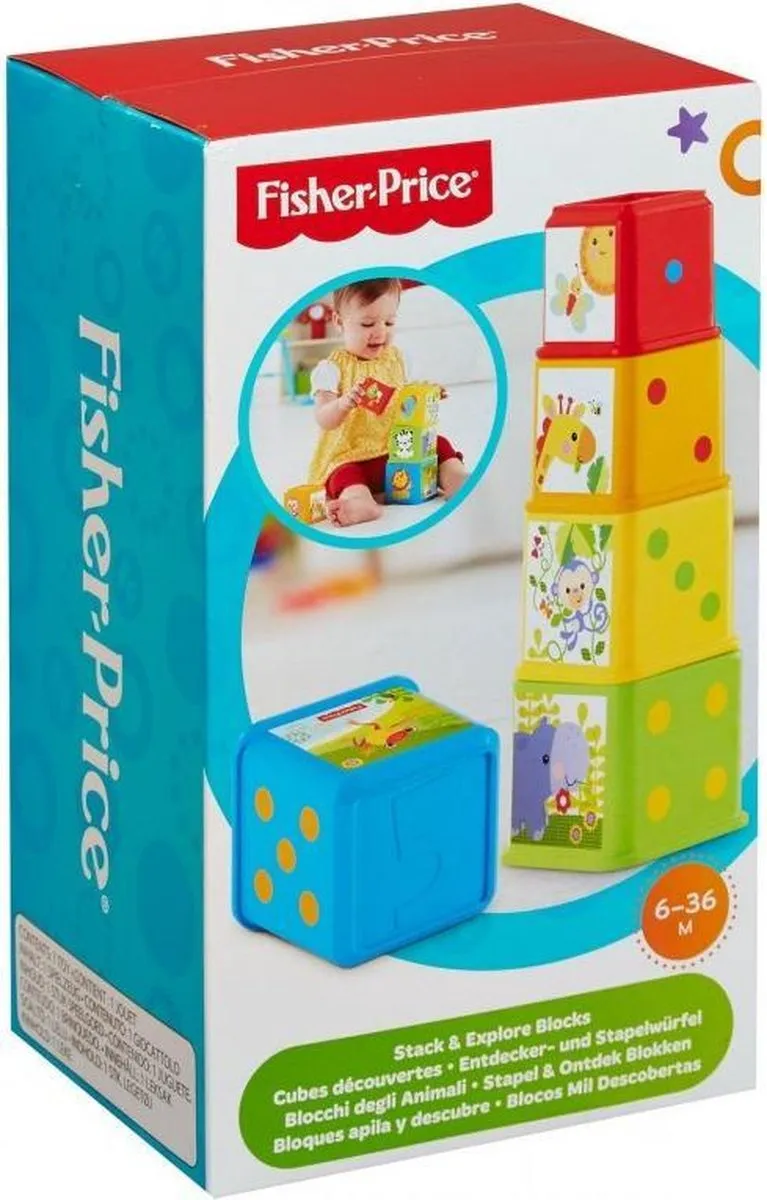 Fisher-Price Stapel en Leer Blokken L4PC-00067418 - 5 Stuks - Meerkleurig