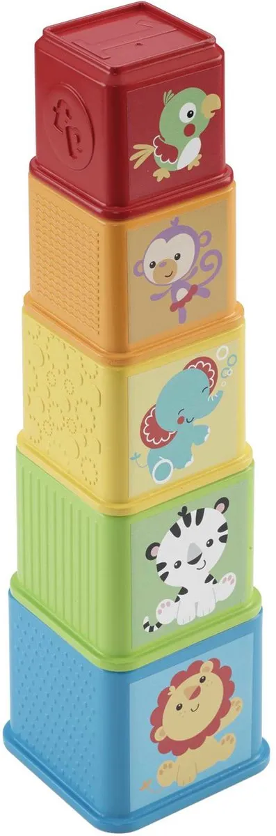 Fisher-Price Stapel en Leer Blokken L4PC-00067418 - 5 Stuks - Meerkleurig