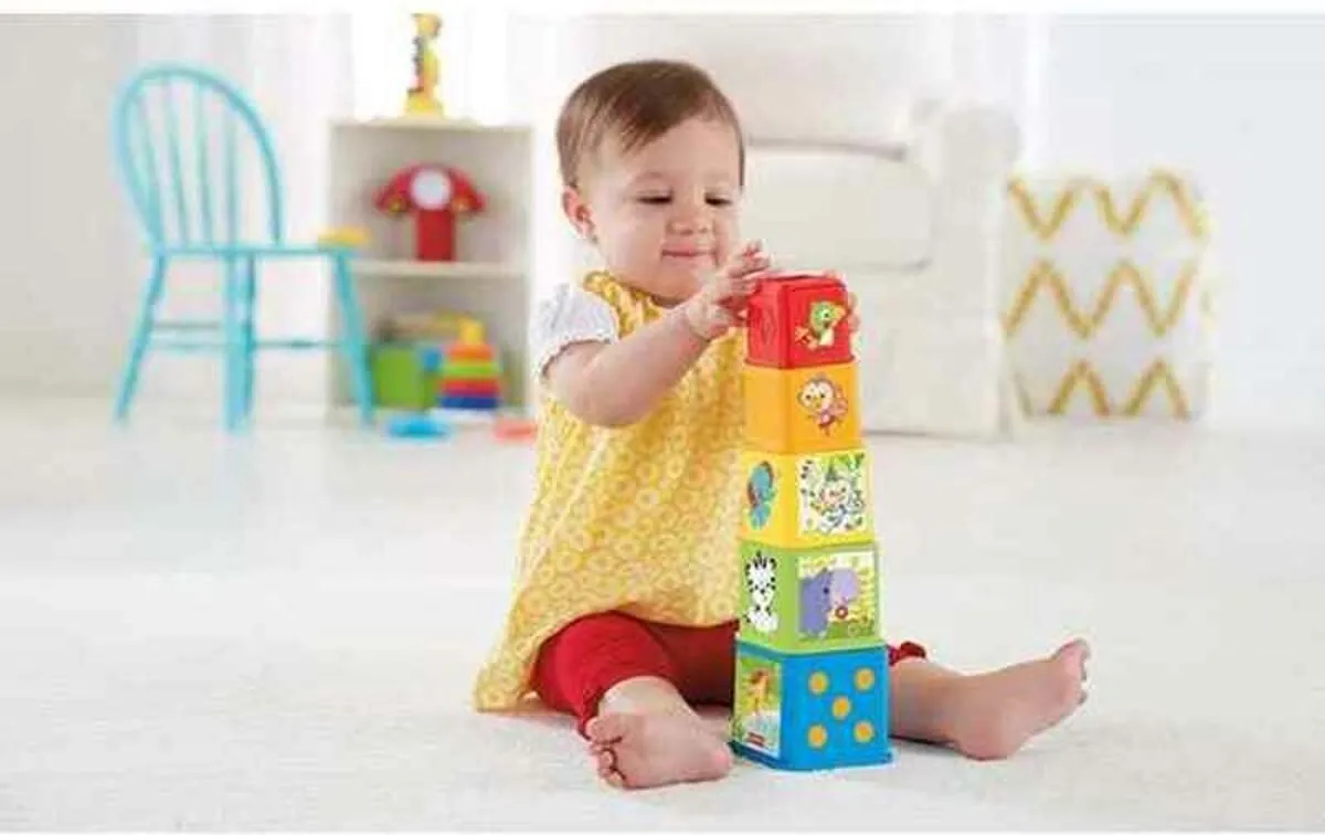 Fisher-Price Stapel en Leer Blokken L4PC-00067418 - 5 Stuks - Meerkleurig