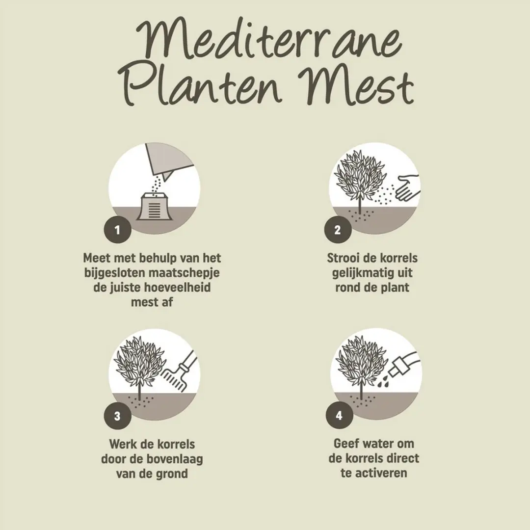 Pokon Mediterrane Planten Mest 1kg - afbeelding 5 van 6