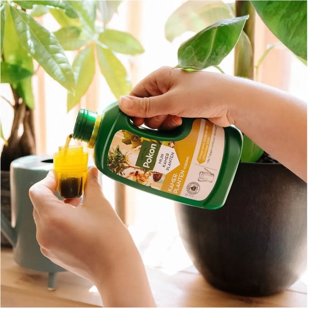 Pokon Kamerplanten Voeding 1L - afbeelding 5 van 6