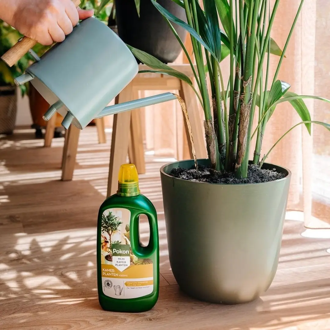 Pokon Kamerplanten Voeding 1L - afbeelding 6 van 6