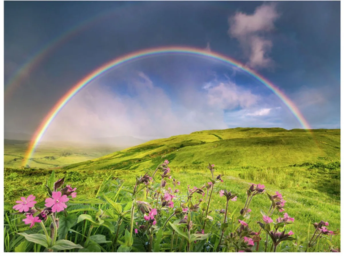Ravensburger Spectaculaire Regenboog Puzzel 1500 Stuks - Multicolor