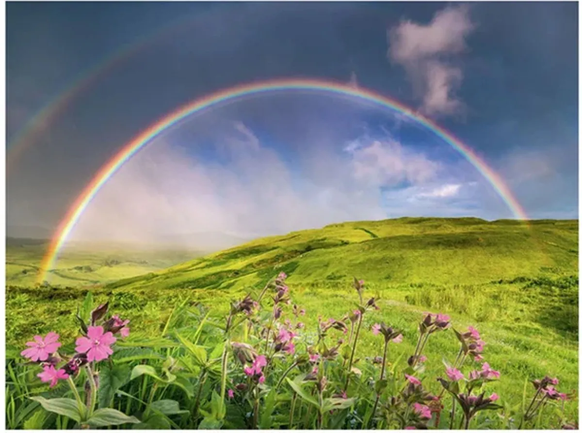 Ravensburger Spectaculaire Regenboog Puzzel 1500 Stuks - Multicolor