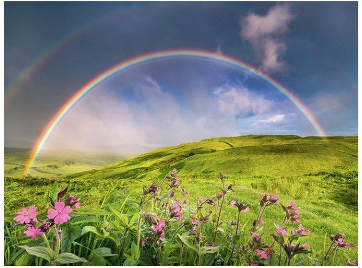 Ravensburger Spectaculaire Regenboog Puzzel 1500 Stuks - Multicolor - afbeelding 6 van 6