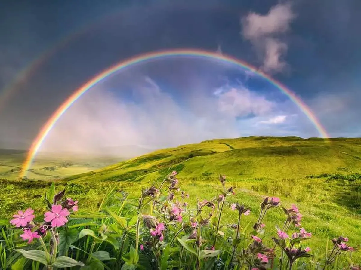 Ravensburger Spectaculaire Regenboog Puzzel 1500 Stuks - Multicolor