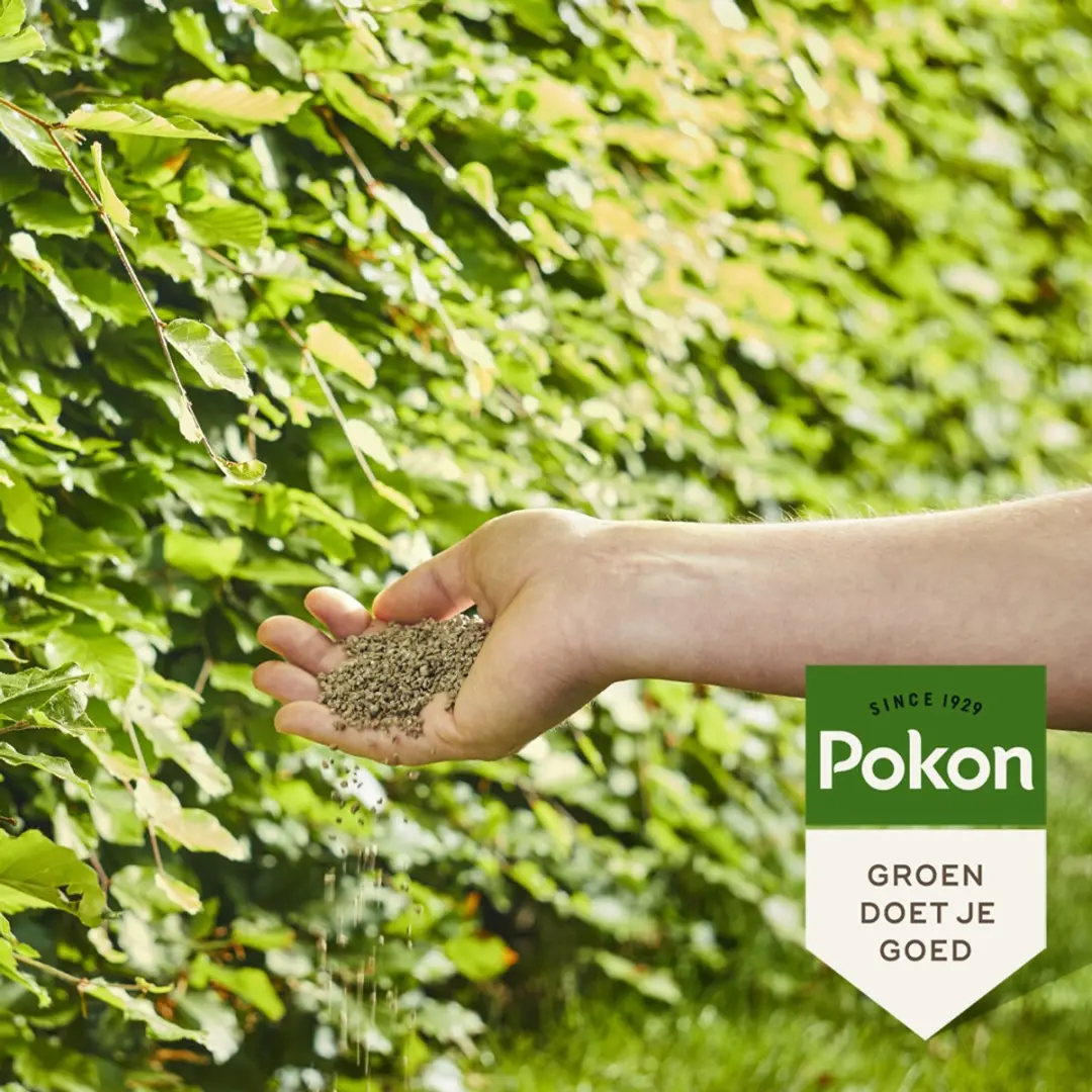 Pokon Beuken & Hagen Mest 10kg - 3-in-1 - afbeelding 5 van 6