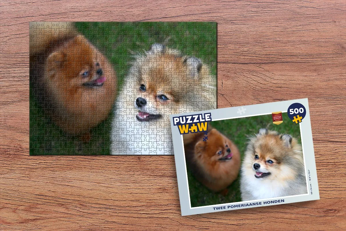 PuzzleWow Legpuzzel Twee Pomeranian Honden 500 Stuks - Multicolor
