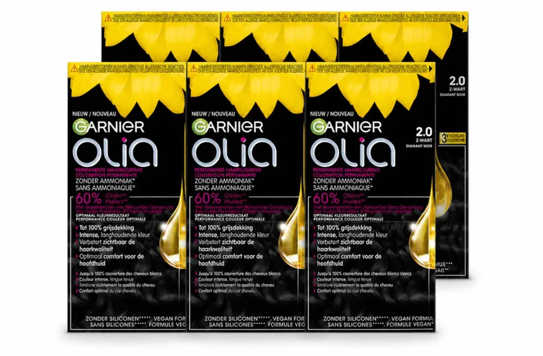 6 x Garnier
