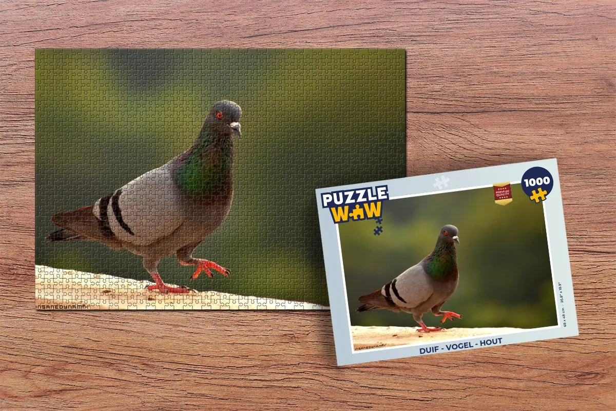 PuzzleWow Duif Vogel Legpuzzel 1000 Stuks - Multicolor