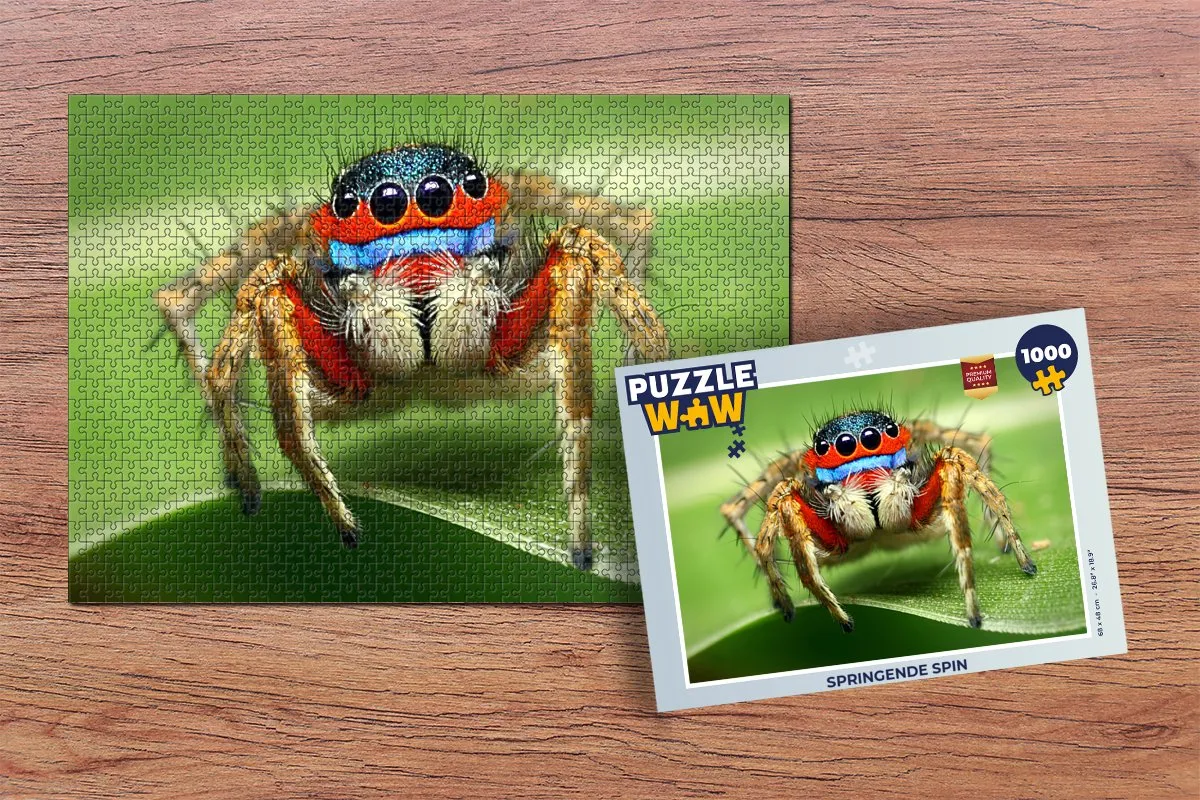 PuzzleWow Springende Spin Legpuzzel 1000 Stuks - Multicolor