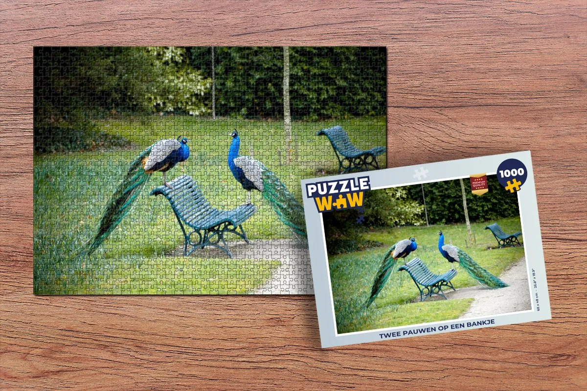 PuzzleWow Park Bank Legpuzzel 1000 Stuks - Multicolor
