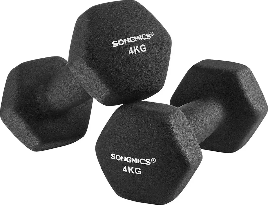 Songmics Halters 2 x 4 kg