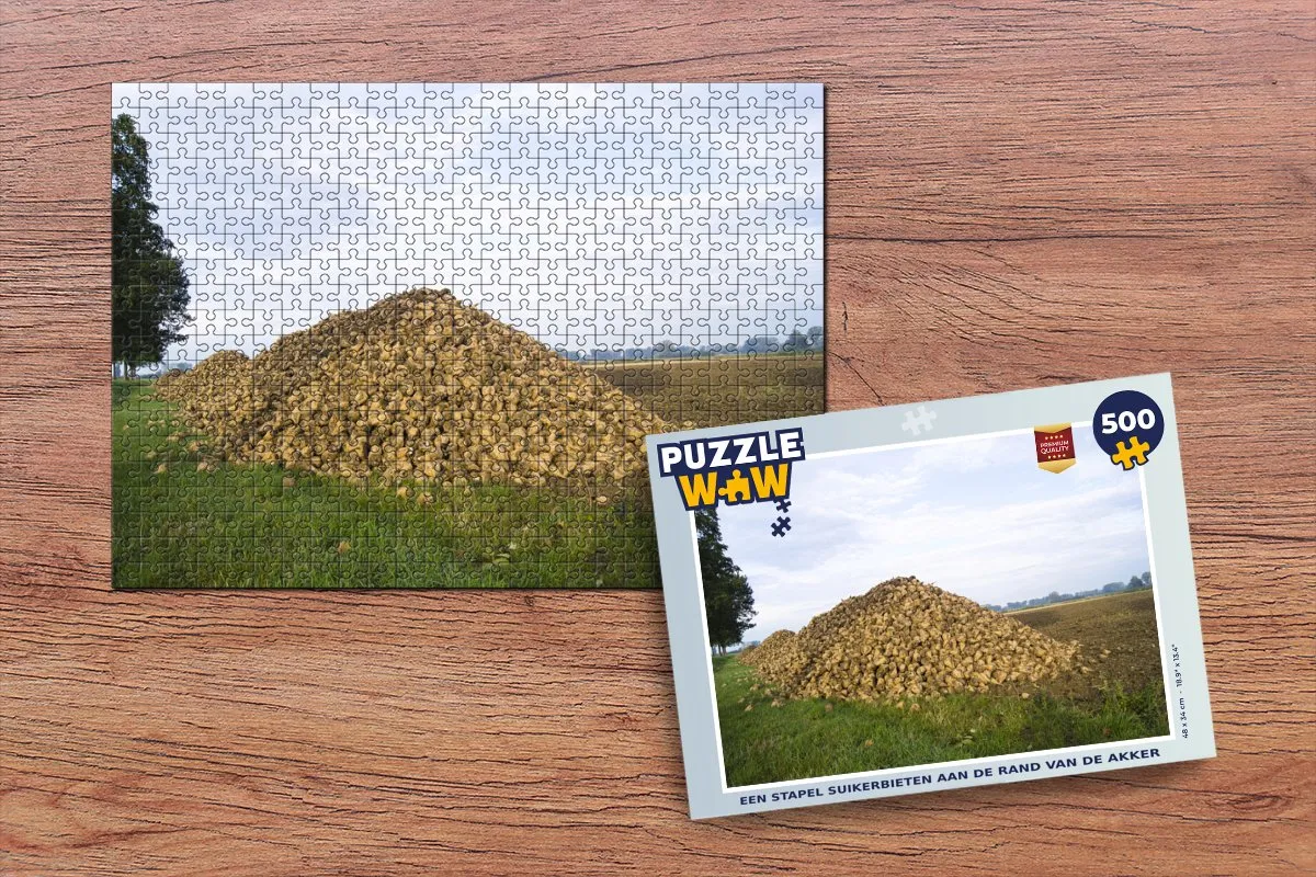 PuzzleWow Legpuzzel 500 Stuks Multicolor