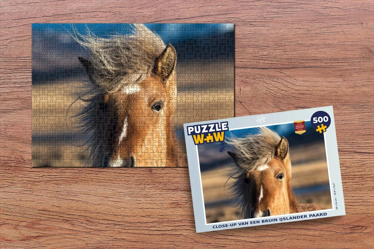PuzzleWow IJslander Paard Legpuzzel 500 Stuks - Multicolor