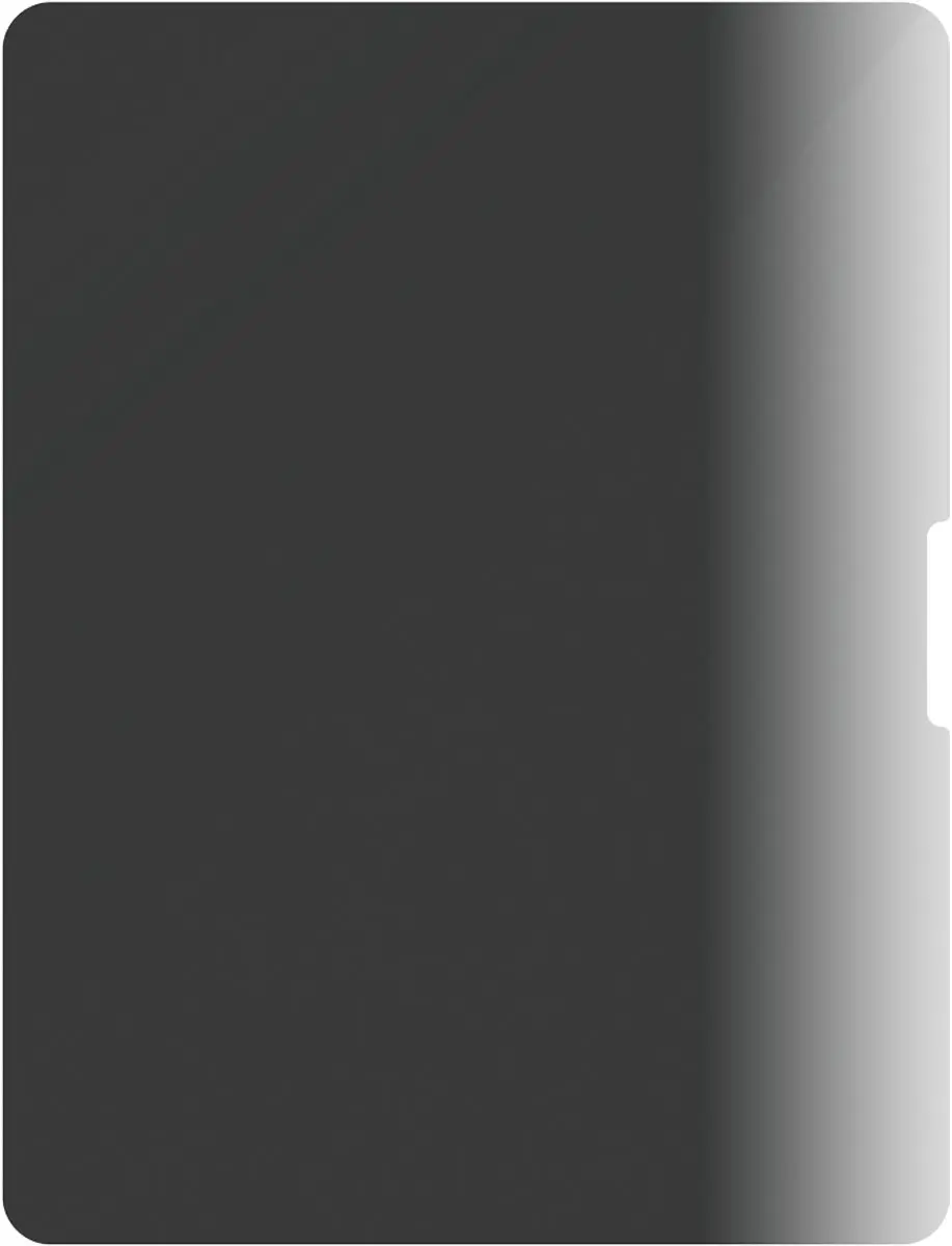 PanzerGlass 4-Way Privacy Screen Protector iPad Air 13" PG49102