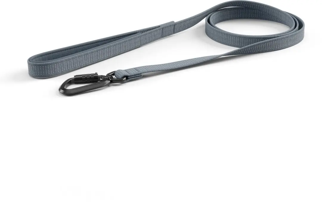 Thule Dart leash Hondenriemen en halsbanden Dark slate 180 cm
