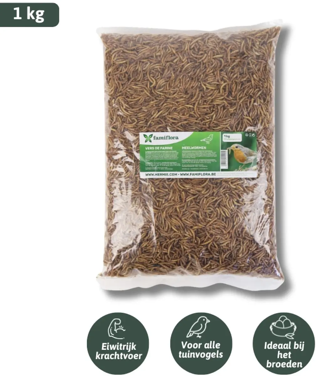 Famiflora Gedroogde Meelwormen 1kg