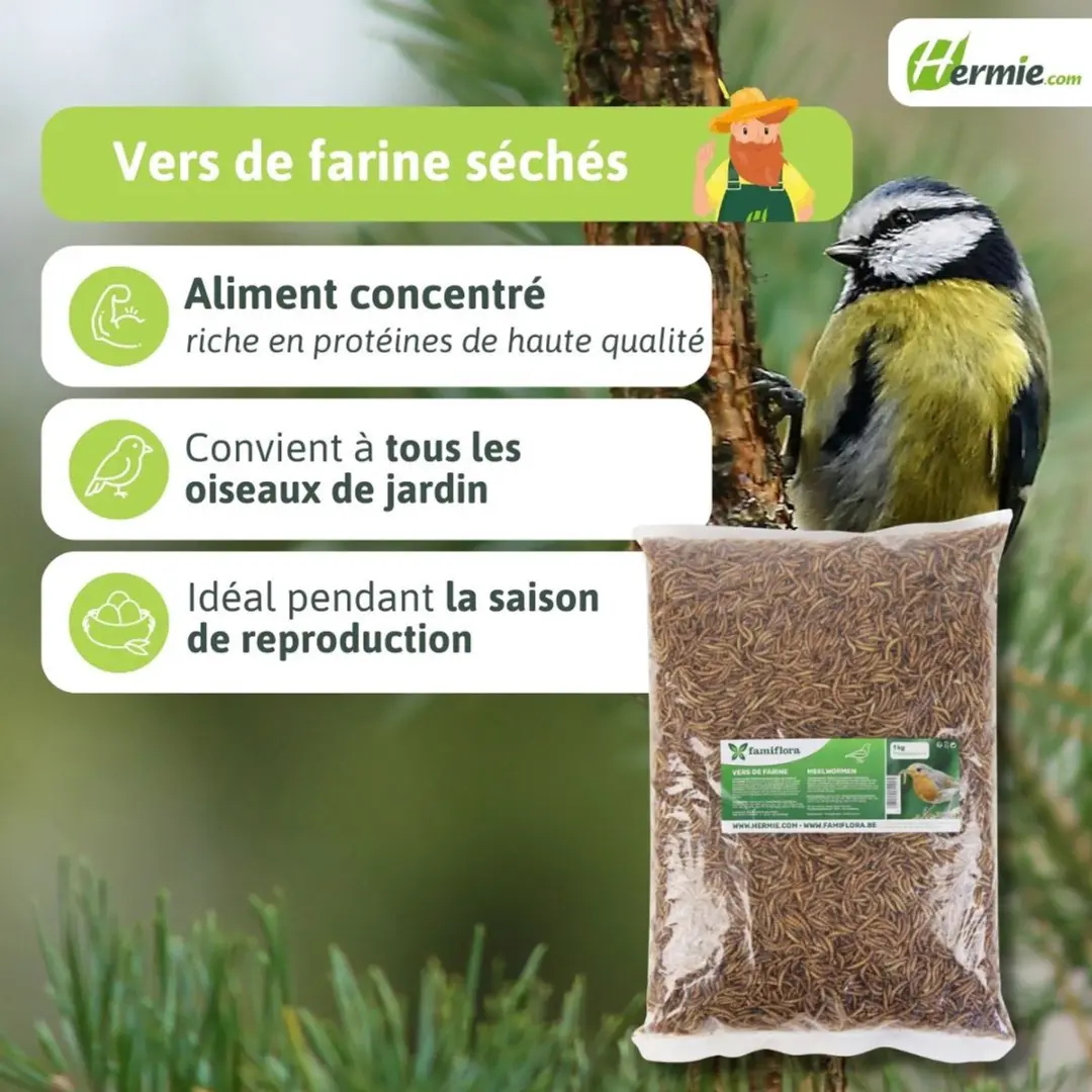 Famiflora Gedroogde Meelwormen 1kg - Voor Tuinvogels - afbeelding 4 van 6
