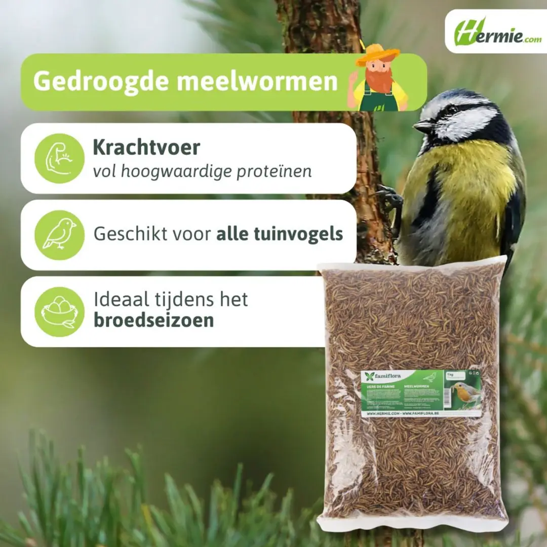 Famiflora Gedroogde Meelwormen 1kg - Voor Tuinvogels - afbeelding 5 van 6