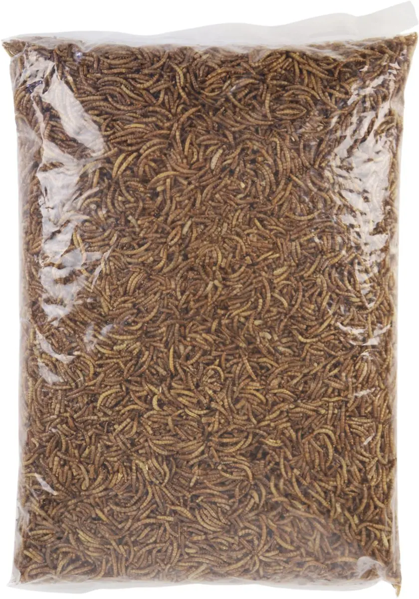 Famiflora Gedroogde Meelwormen 1kg - Voor Tuinvogels - afbeelding 3 van 6