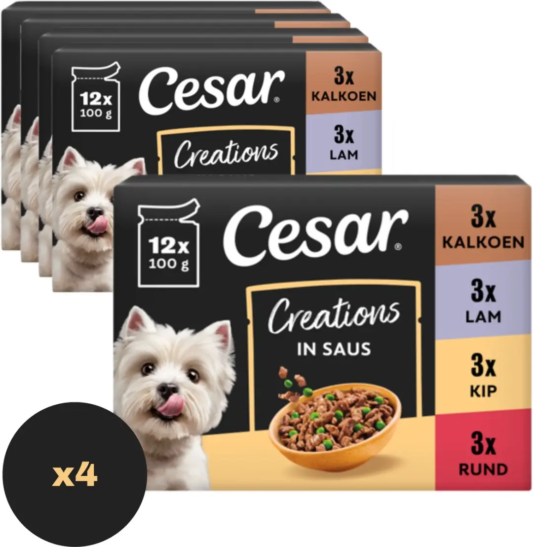 Cesar Creations 4x 12x100 g Adult Maaltijdzakje met Stukjes Rund & Worteltjes in