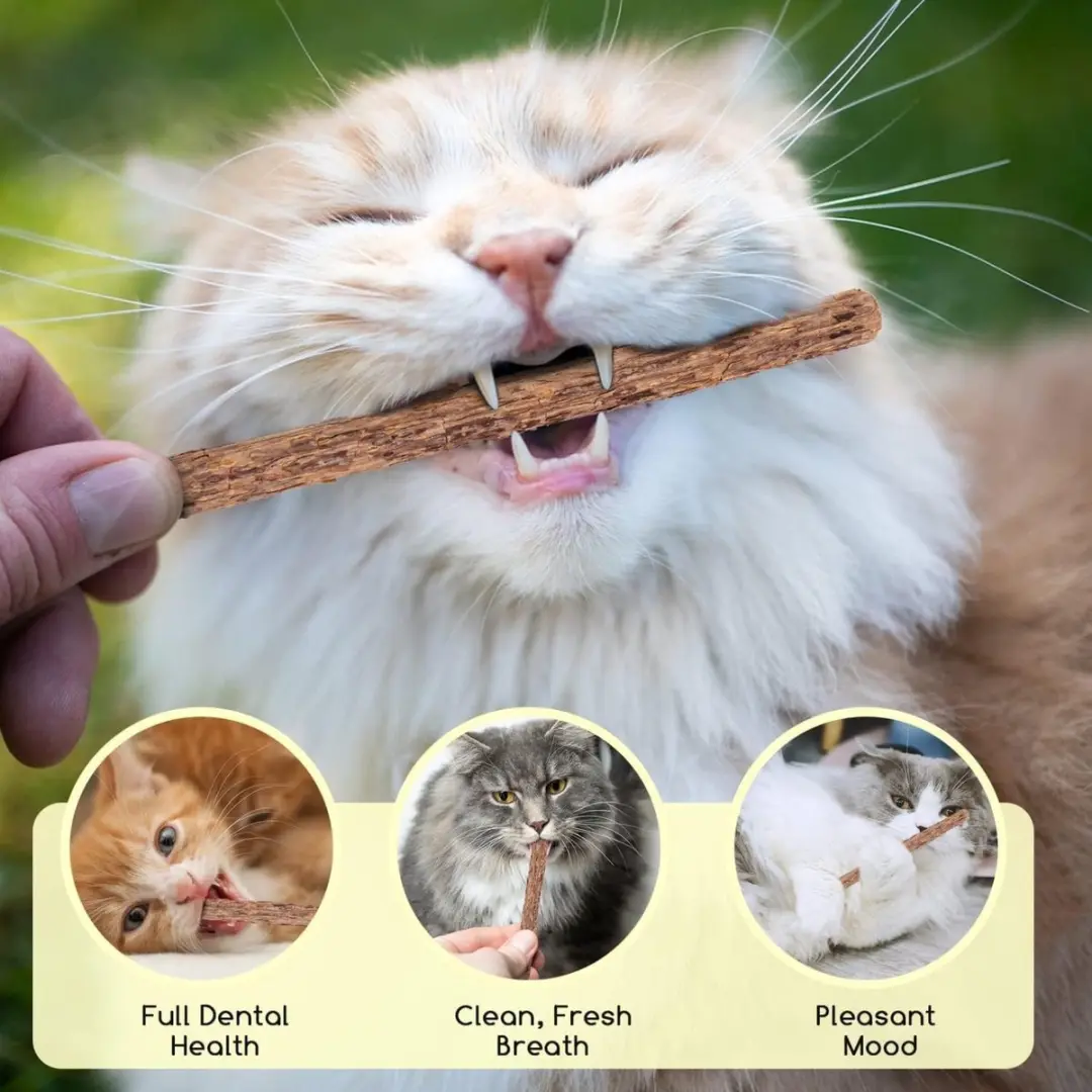 Nobleza Kattenkruid Kauwsticks - 10 Sticks