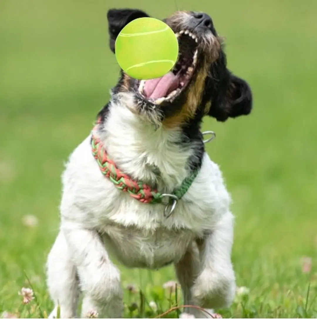 Nobleza Honden Speelbal met Piep - Tennisbal Vinyl 6,5cm - Geel - afbeelding 5 van 6