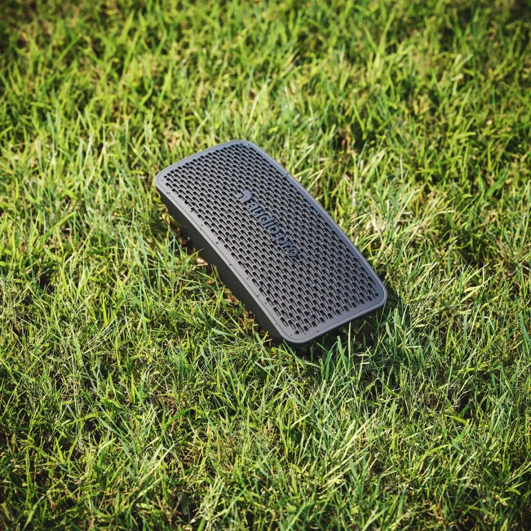 Audio Pro P5 Draadloze Luidspreker - 35W - IPX4 - Zwart