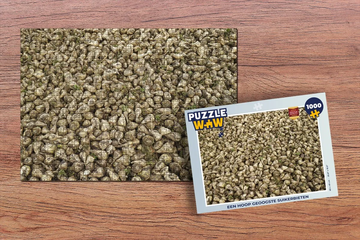 PuzzleWow Legpuzzel 1000 Stuks Multicolor