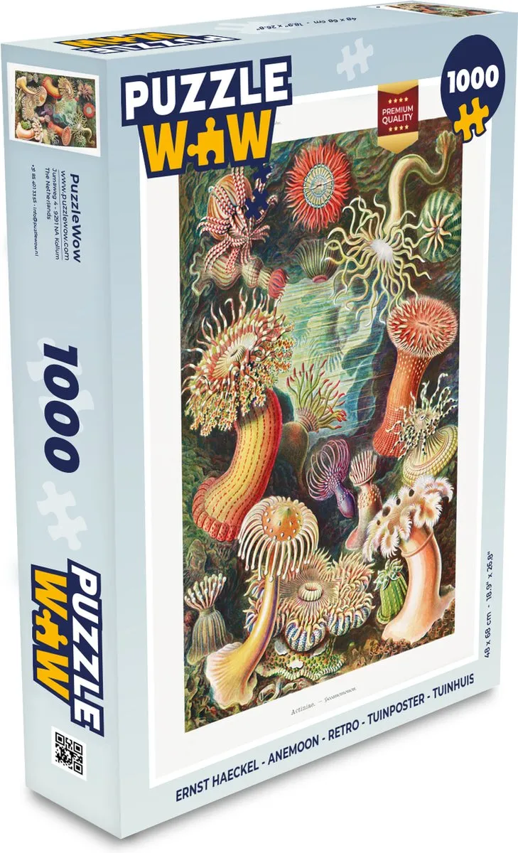 PuzzleWow Ernst Haeckel Anemoon Legpuzzel 1000 Stuks - Multicolor