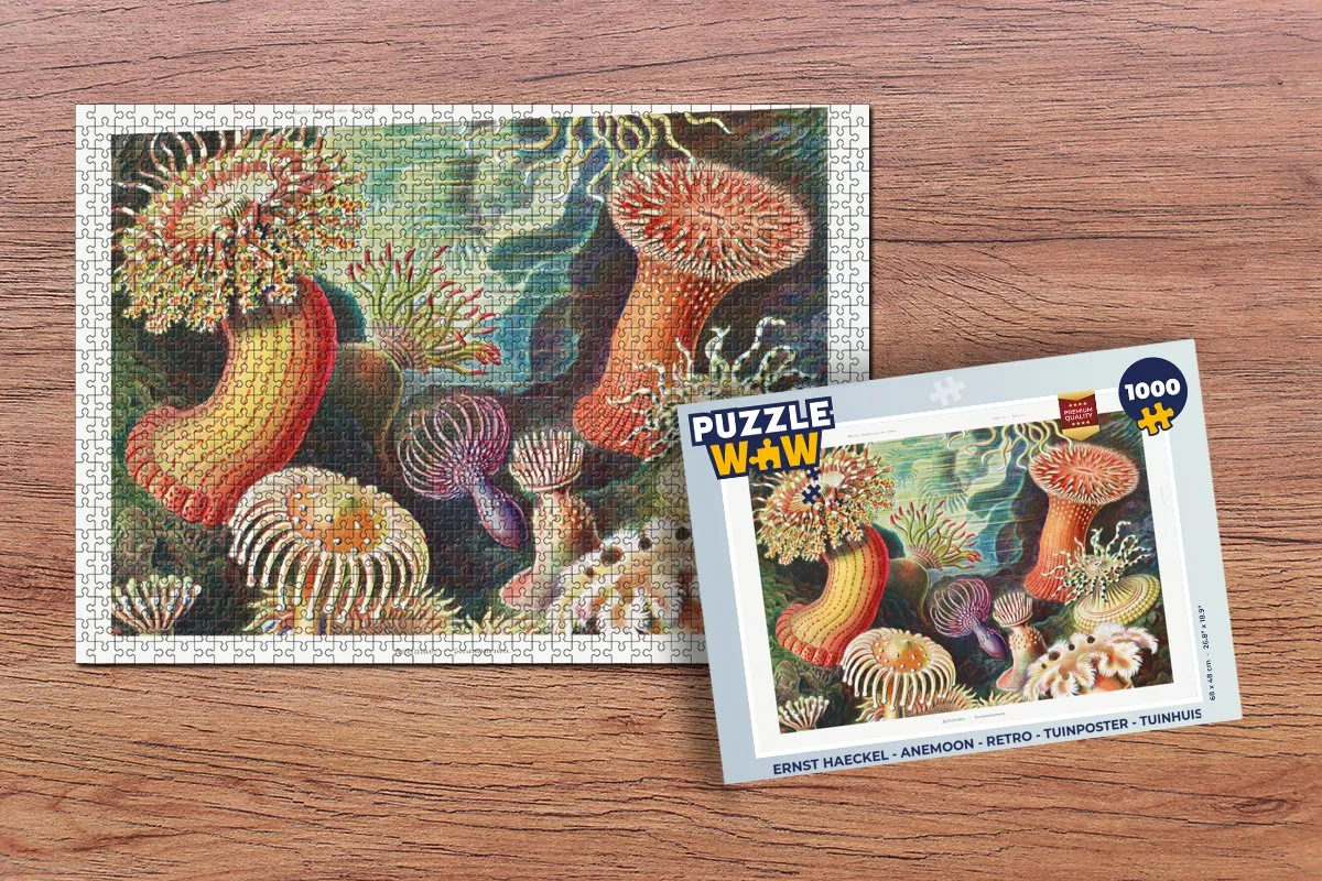 PuzzleWow Ernst Haeckel Anemoon Legpuzzel 1000 Stuks - Multicolor