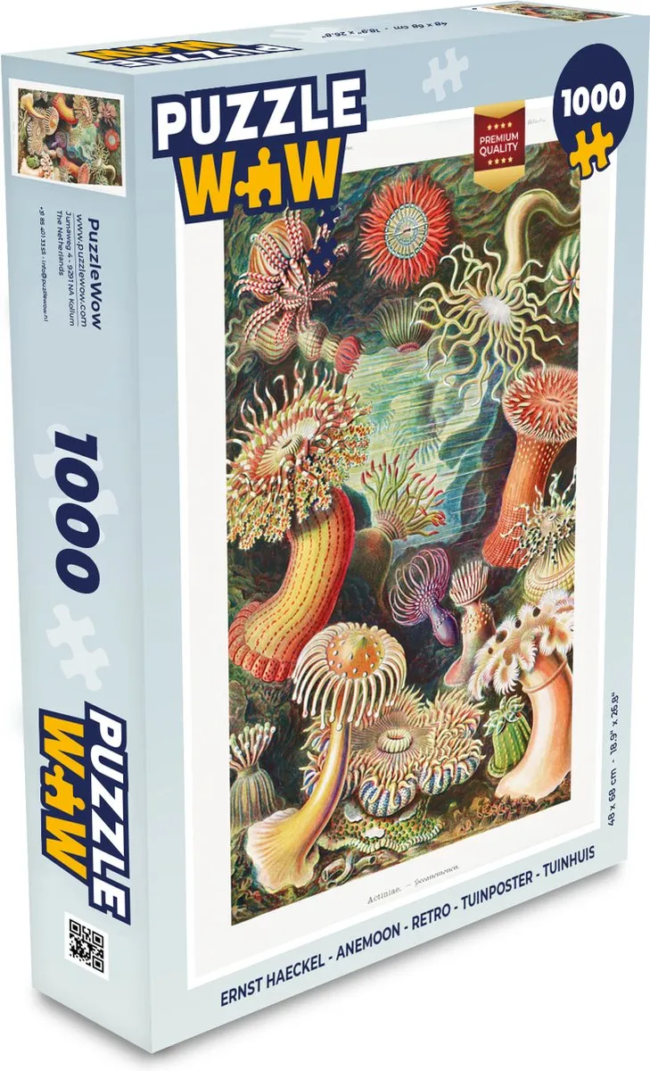 PuzzleWow Ernst Haeckel Anemoon Legpuzzel 1000 Stuks - Multicolor