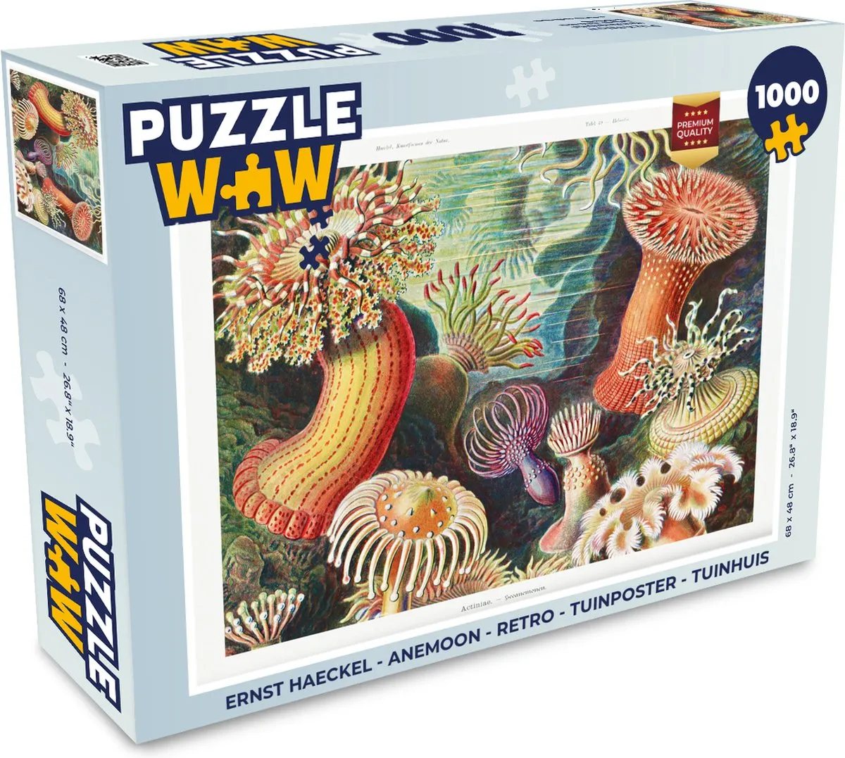 PuzzleWow Ernst Haeckel Anemoon Legpuzzel 1000 Stuks - Multicolor
