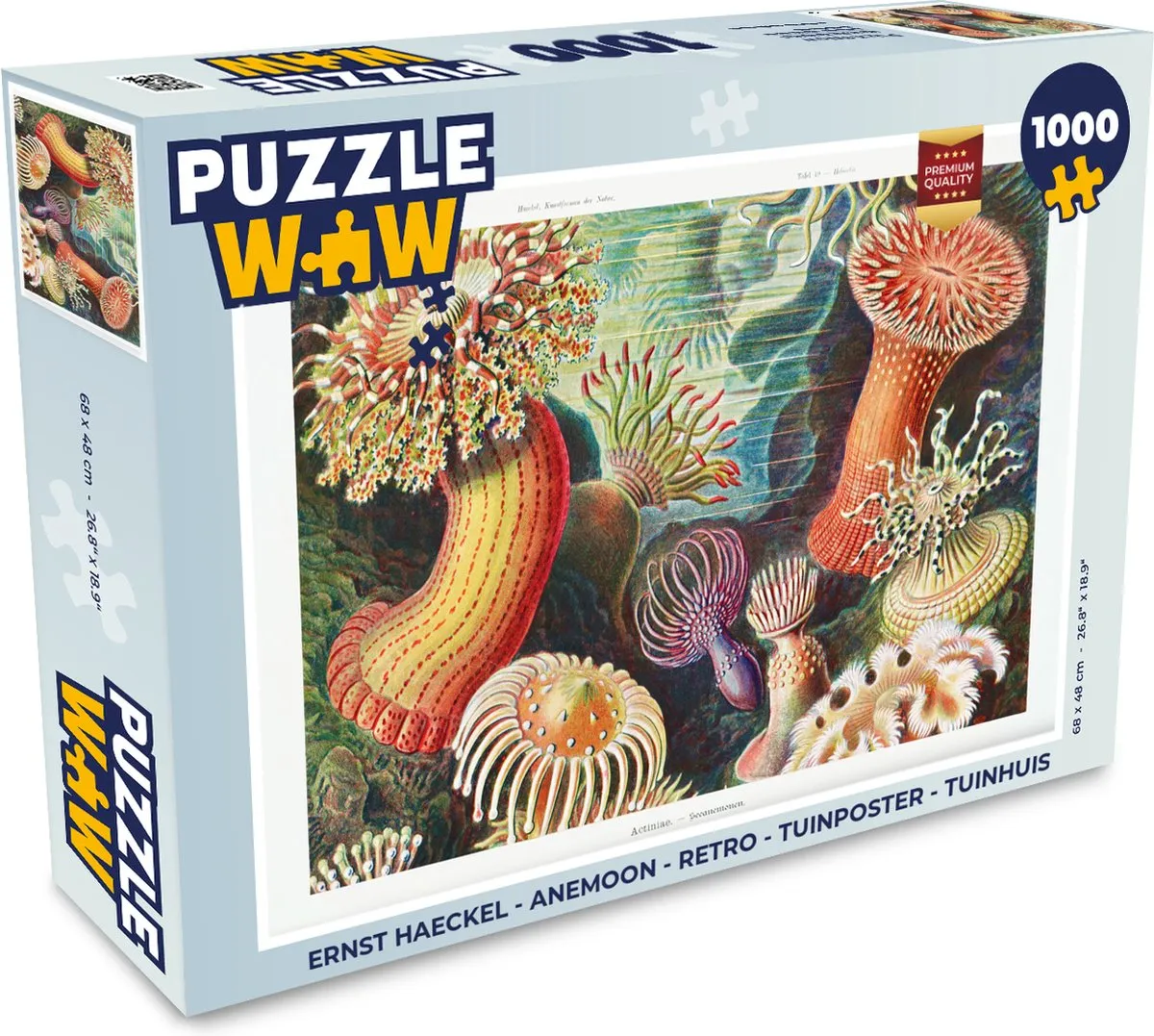 PuzzleWow Ernst Haeckel Anemoon Legpuzzel 1000 Stuks - Multicolor
