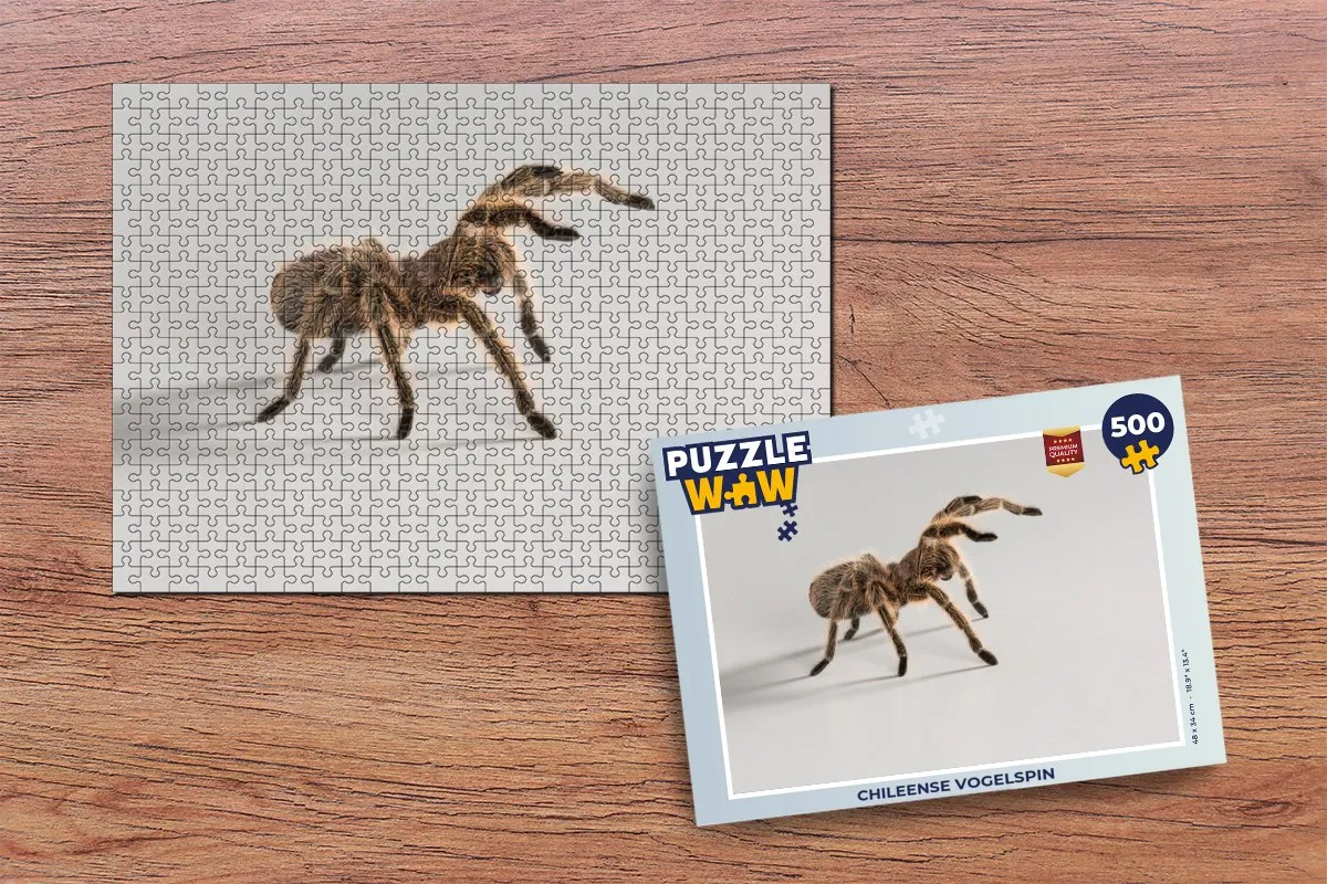 PuzzleWow Chileense Vogelspin Legpuzzel 500 Stuks - Multicolor