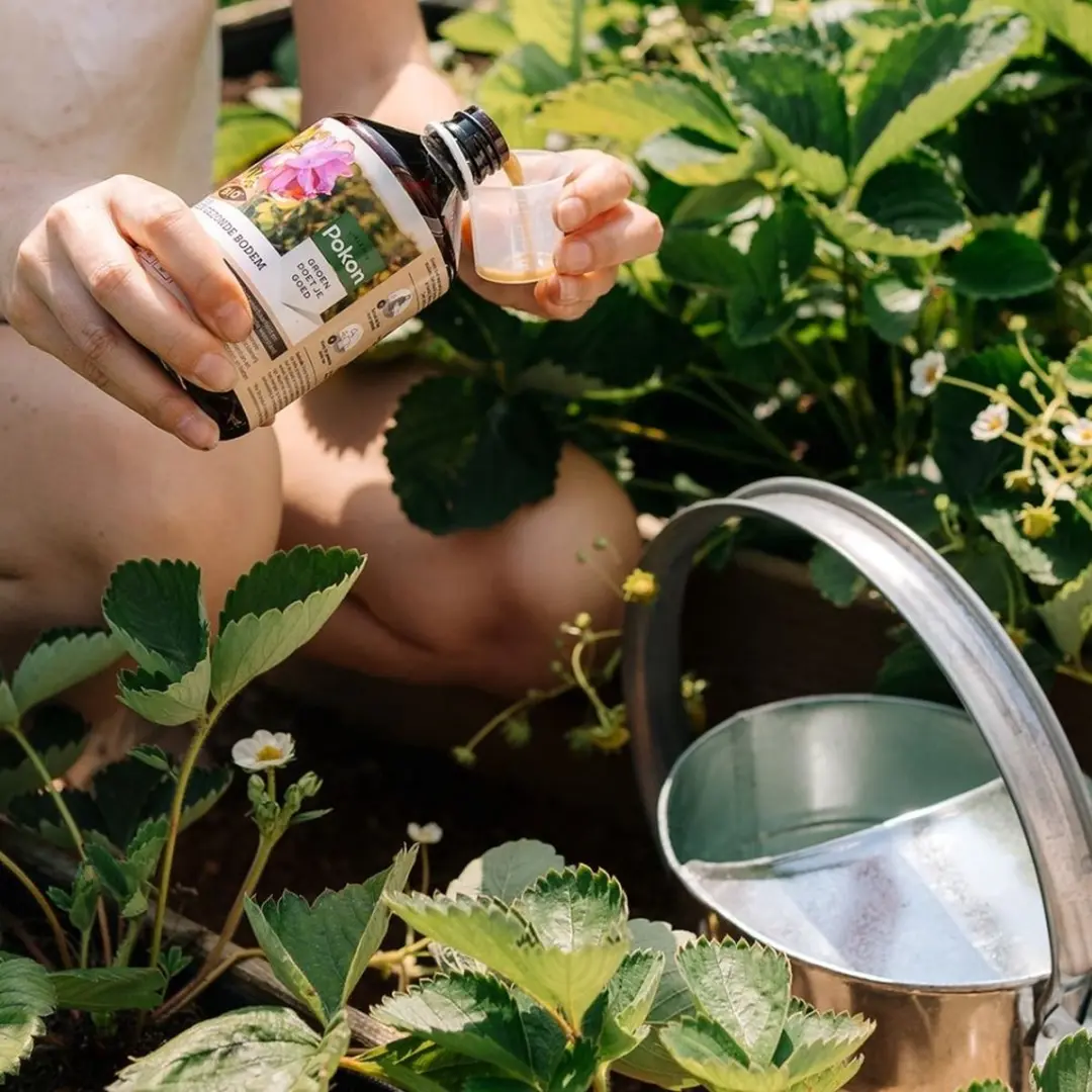 Pokon Bio Kuur Bodemverbeteraar 500ml - o.a. moestuin/siertuin - afbeelding 6 van 6