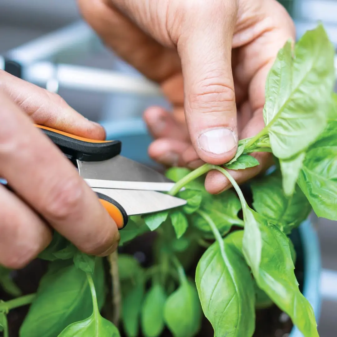 Fiskars Solid SP220 Tuinschaar - afbeelding 3 van 5