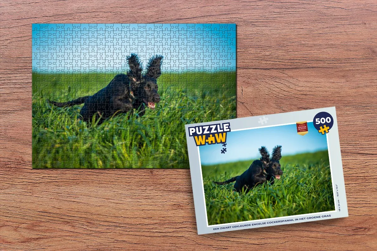 PuzzleWow Engelse Cocker Spaniel Puzzel 500 Stuks