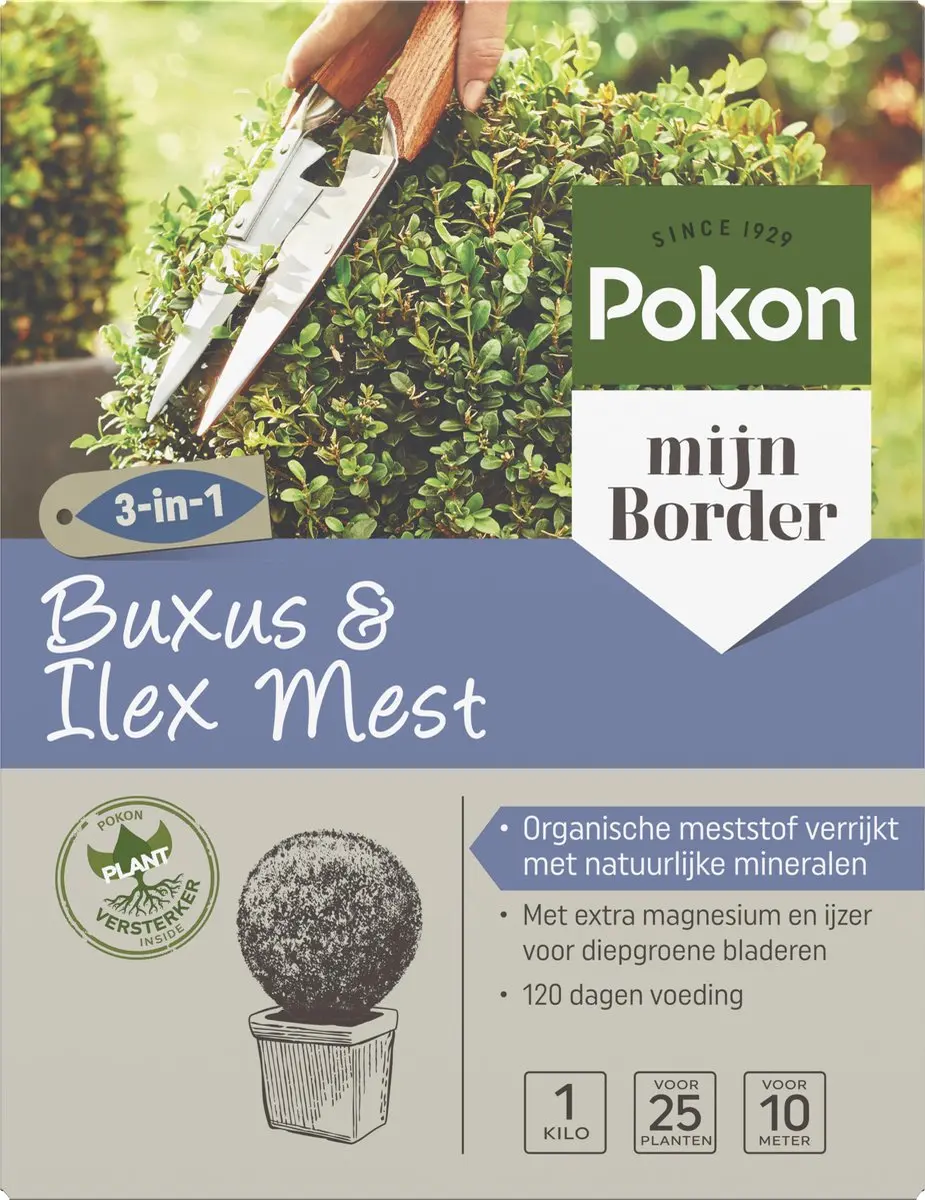 Pokon Buxus & Ilex Meststof 1kg